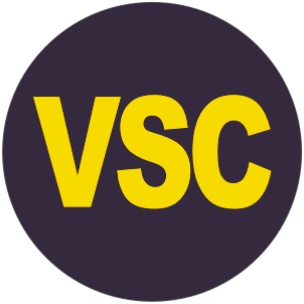 VSC指示灯